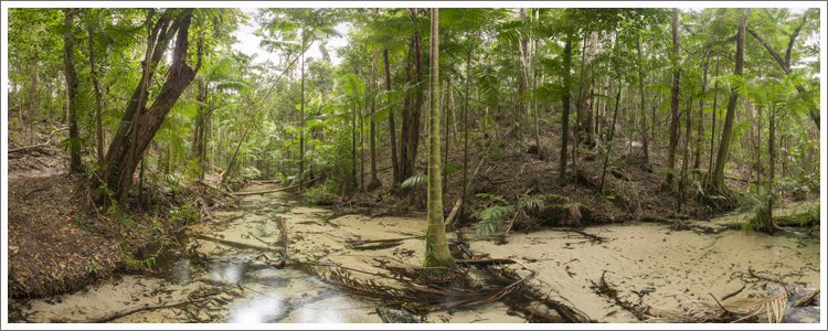 Central Station Creek